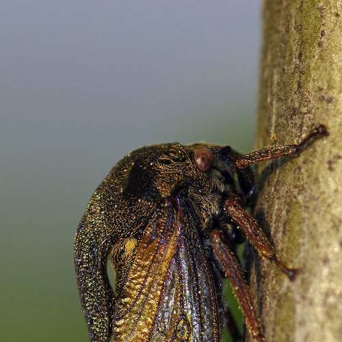 Photo #5880566
