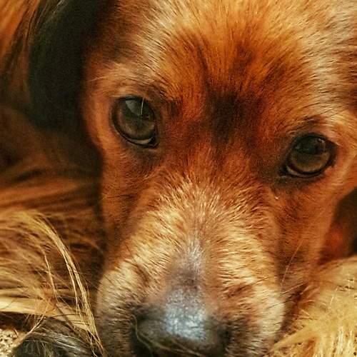Photo #5880677