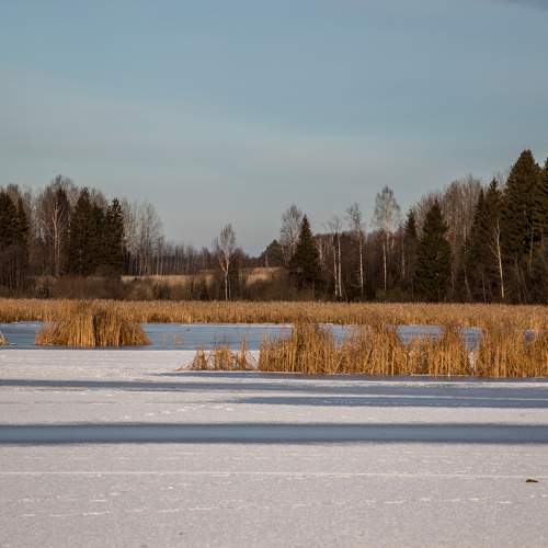 Photo #5880891