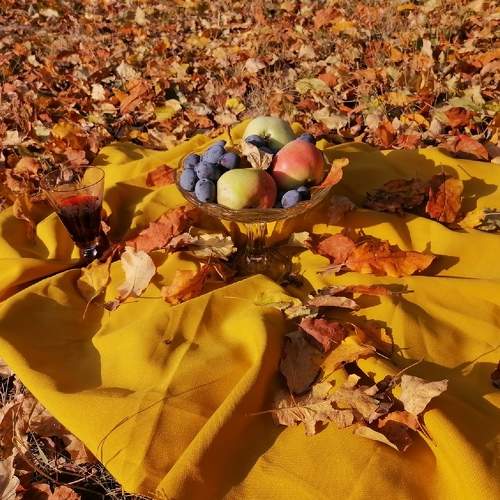 Photo #5880898