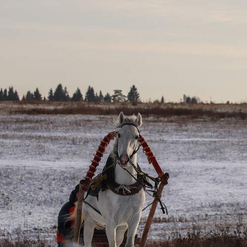 Photo #5881013
