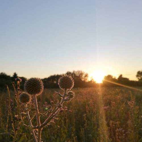 Photo #5881137