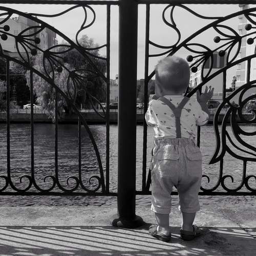 Photo #5881192