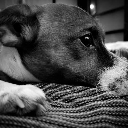 Photo #5881277