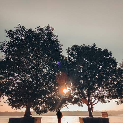 Photo #5881410