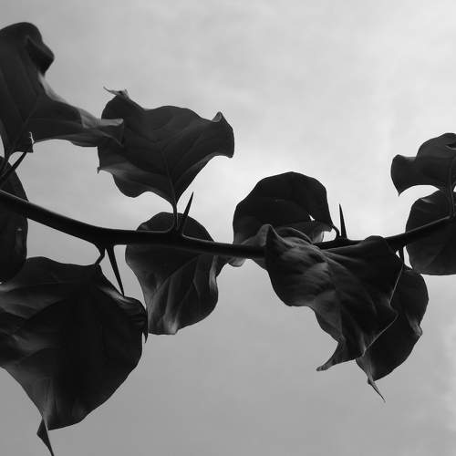 Photo #5881558