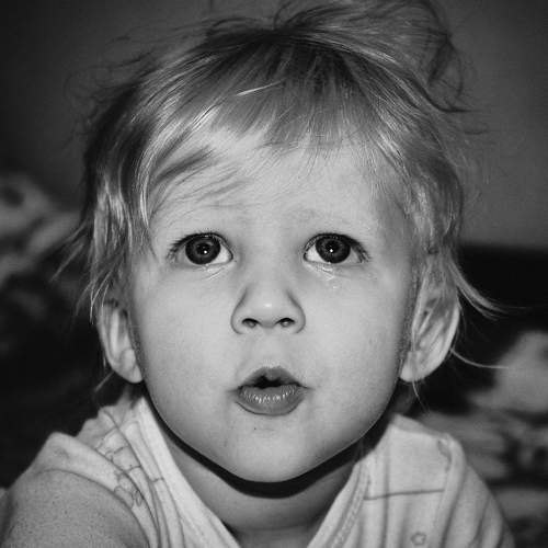 Photo #5881561