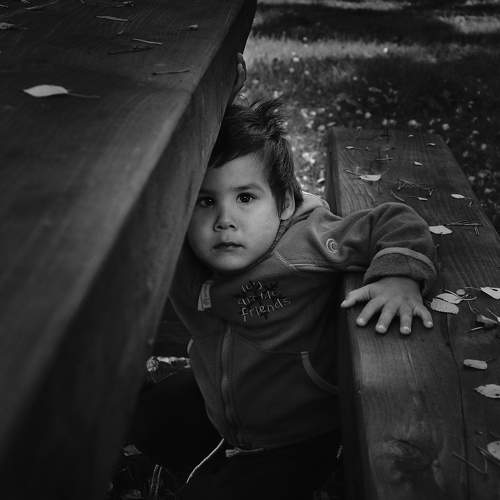 Photo #5881564