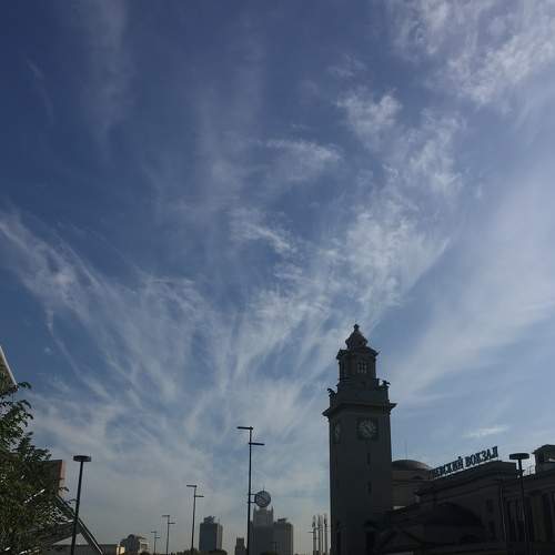 Photo #5881899