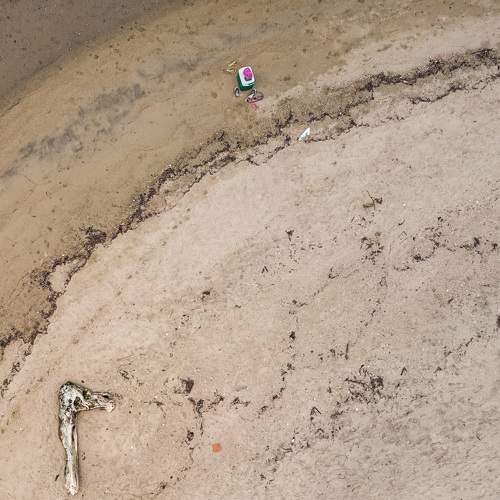 Photo #5881904