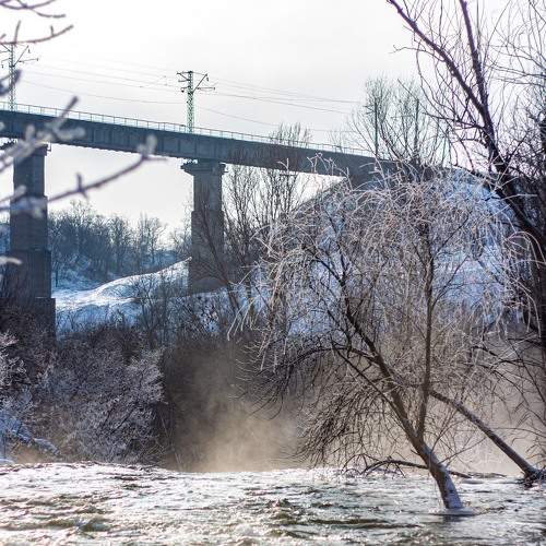 Photo #5882391