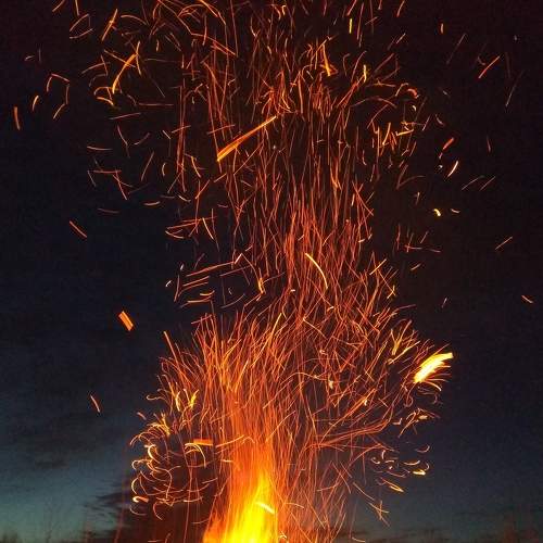 Photo #5882422