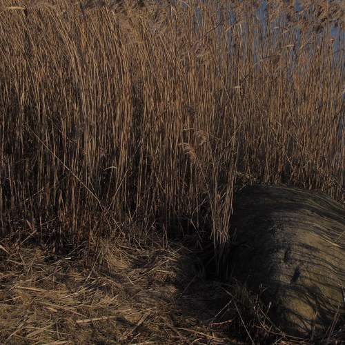Photo #5882442