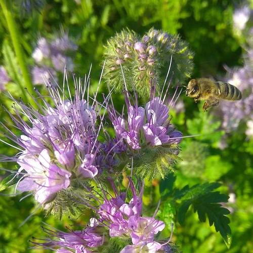 Photo #5882581