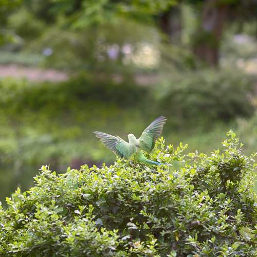 Photo #5883373