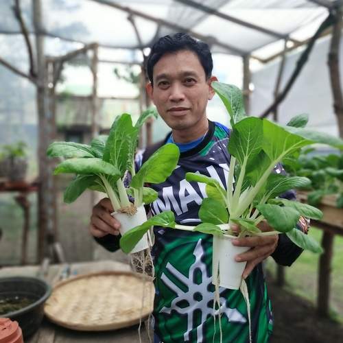 Food for the future in the midst of pandemic