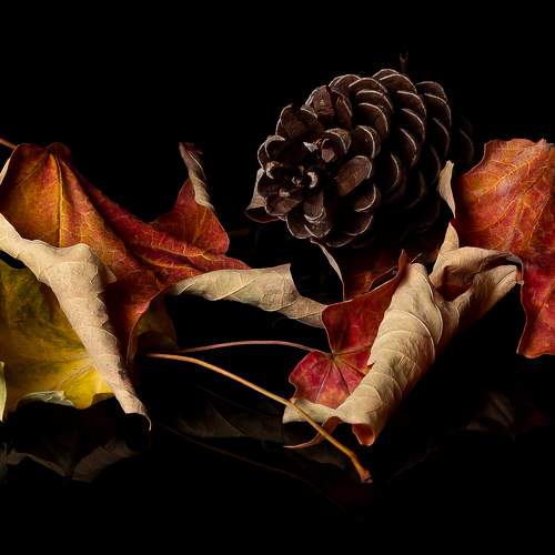 Autumn Still Life