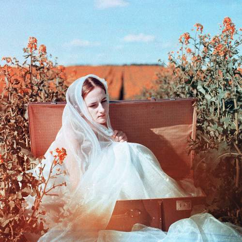 Photo #5884012