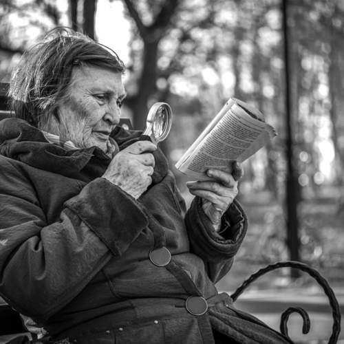 Photo #5884050