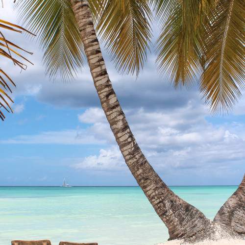 Photo #5884077