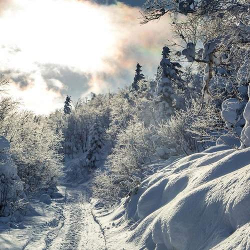 Photo #5884098