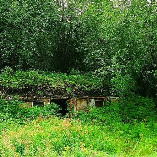 Photo #5884242