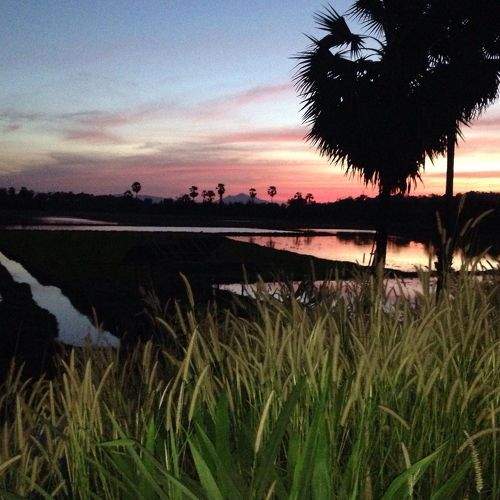 Photo #5884355