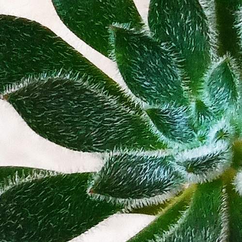 Photo #5884471