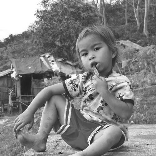 Photo #5884518