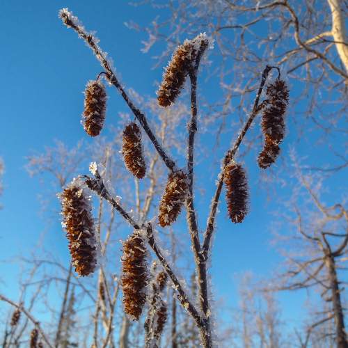 Photo #5884654