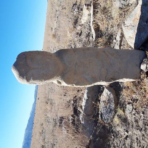 Photo #5884732