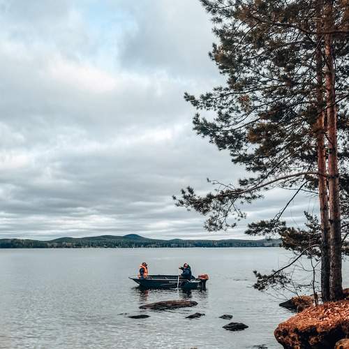 Photo #5884748