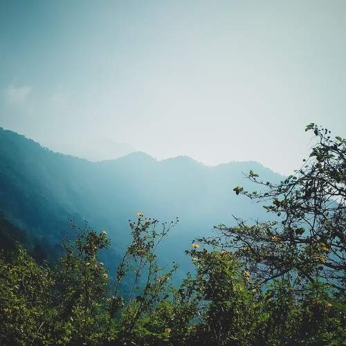 Photo #5884775