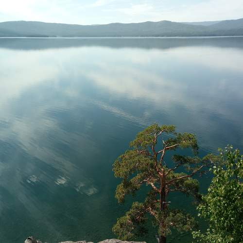 Photo #5884917
