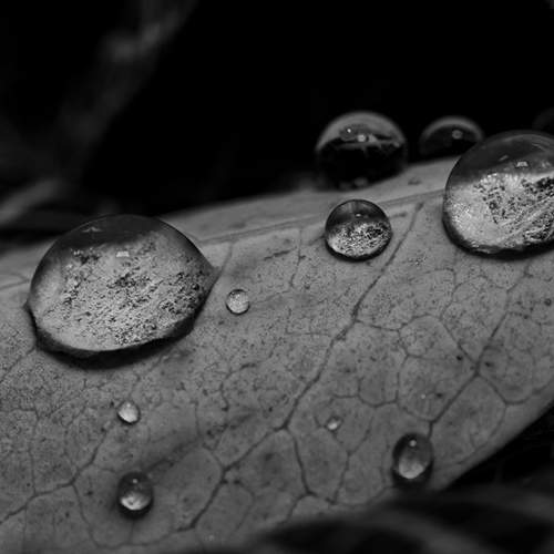 Photo #5885059