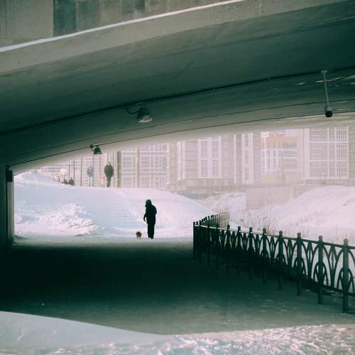 Photo #5885382