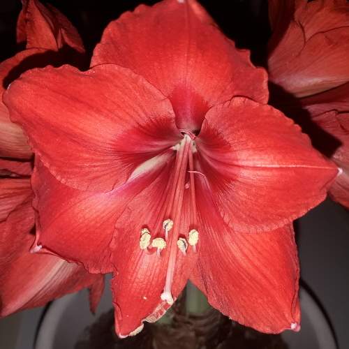 Photo #5885472