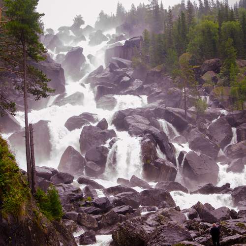 Photo #5885666