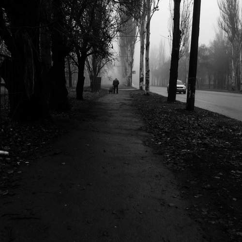 Photo #5885684