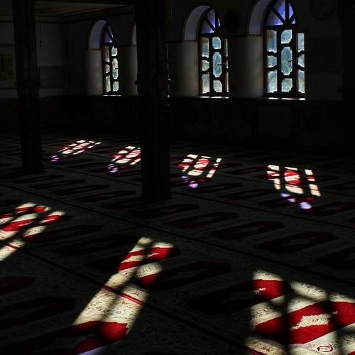 Photo #5885696