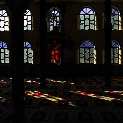 Photo #5885761
