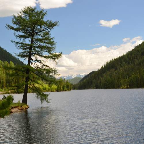 Photo #5885802