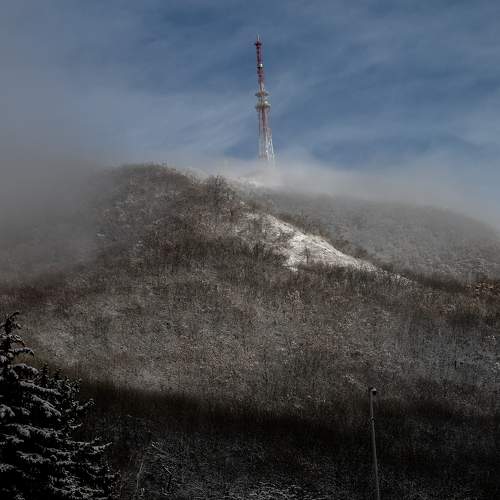 Photo #5886219