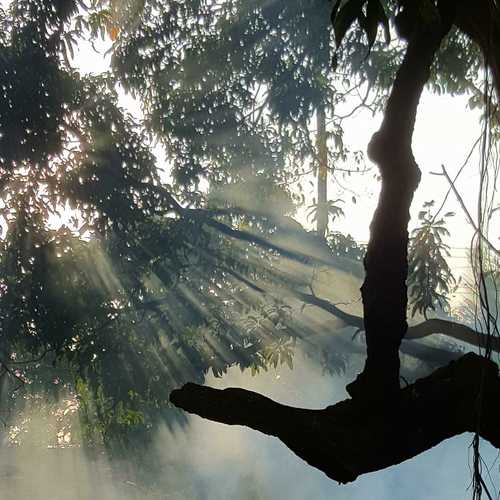 Photo #5886339