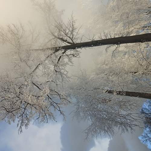 Photo #5886390