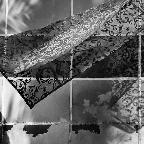 Photo #5886469