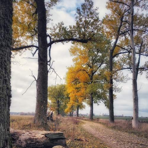 Photo #5886503