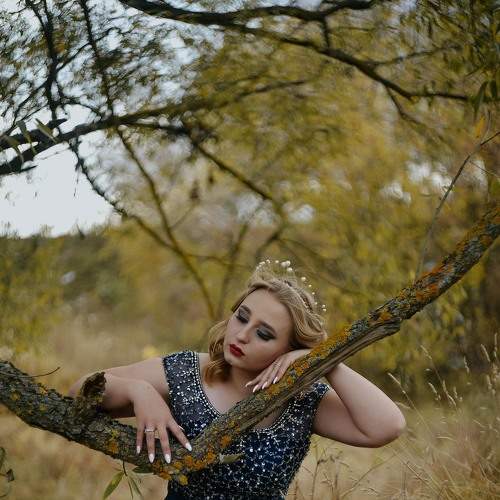 Photo #5886541