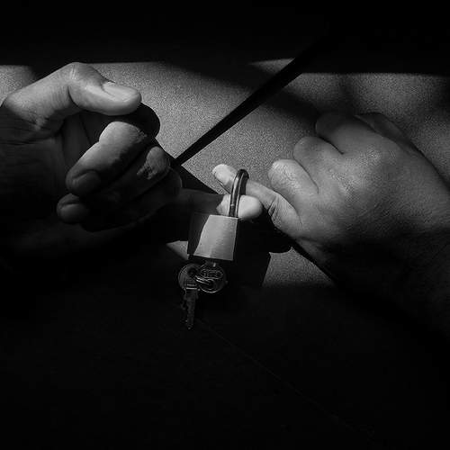 Photo #5886801