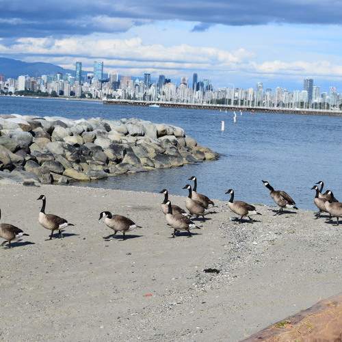 Photo #5887579